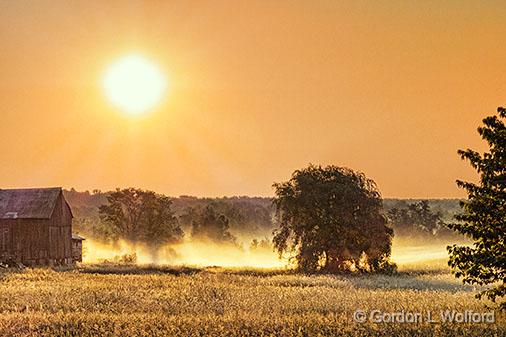 Tree & MIst_01144.jpg - Photographed near Crosby, Ontario, Canada.